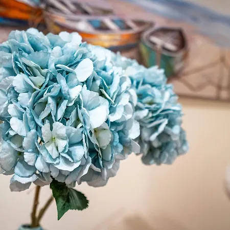 Cool Motion Rocha T2 Portimao