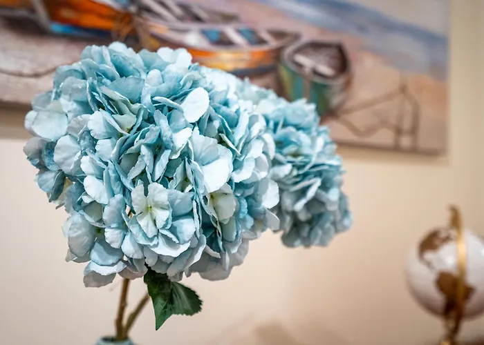 Cool Motion Rocha T2 Portimao